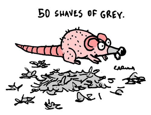 Cartoon: 50 (medium) by Carma tagged 50,shades,parody