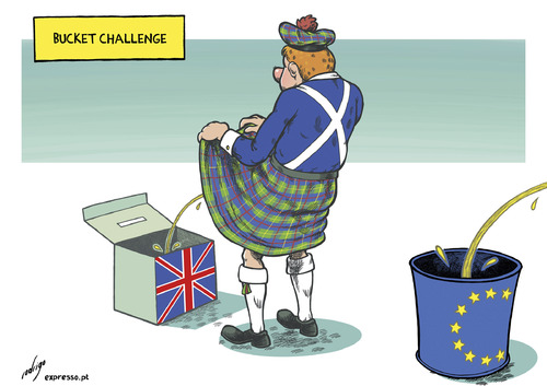 Cartoon: Scotch bucket challenge (medium) by rodrigo tagged scotland,uniter,kingdom,uk,great,britain,independence,referendum,bucket,challenge,european,union,eu,europe