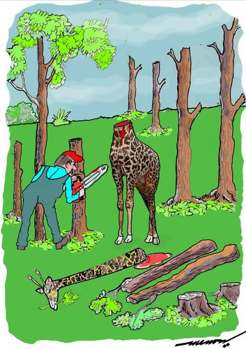 Cartoon: The Unkindest Cut (medium) by kar2nist tagged trees,felling,powersaw,giraffe,logs