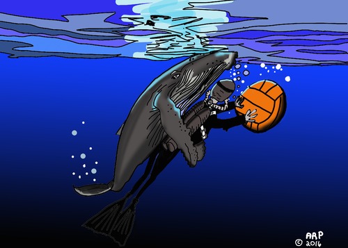 Cartoon: WHALE WITH BALL (medium) by tonyp tagged arp,whale,ball,water,polo,playing