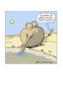 Cartoon: Der Säufer (small) by Butschkow tagged camel,kamel,wüste,desert,alcoholic,alkoholiker,alkohol,beziehung,streit,wasser,water