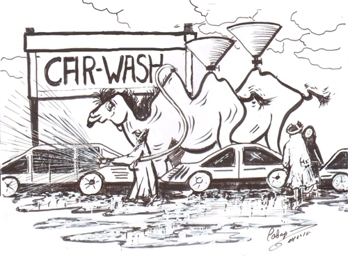 cartoon car washing. Cartoon: car wash in the