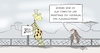 Cartoon: Ausgangssperre (small) by Marcus Gottfried tagged ausgangssperre,corona,social,distance,zoo