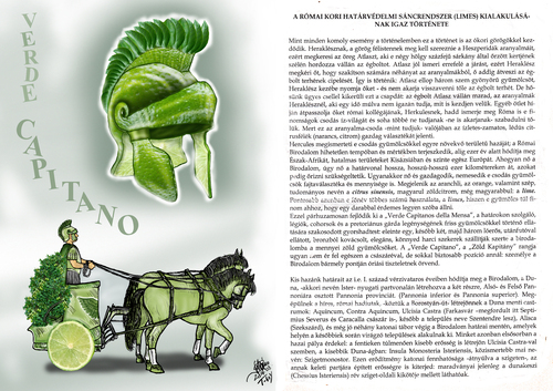 Cartoon: LIMES VERDE CAPITANO 1 (medium) by T-BOY tagged limes,verde,capitano