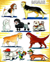 Cartoon: Hunde (small) by Pohlenz tagged hunde