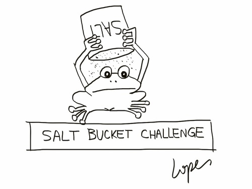 Cartoon: Salt Bucket Challenge (medium) by Lopes tagged frog,salt,bucket,challenge,ice,suicide