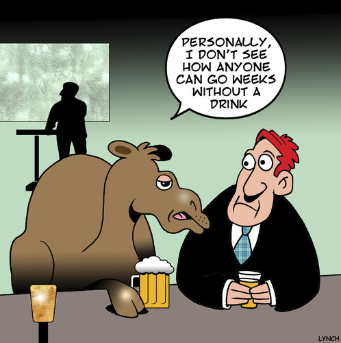 Cartoon: Everyone likes a drink (medium) by toons tagged camels,drinking,alcoholism,beer,animals,ship,of,the,desert,alcoholic,aa,pubs,bars,camels,drinking,alcoholism,beer,animals,ship,of,the,desert,alcoholic,aa,pubs,bars