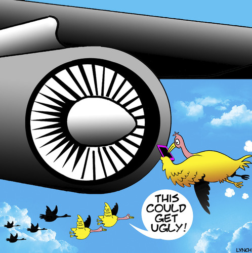 Cartoon: Texting while flying (medium) by toons tagged texting,birds,while,driving,geese,airliner,jumbo,engine,jet,getting,ugly,online,social,media,texting,birds,while,driving,geese,airliner,jumbo,engine,jet,getting,ugly,online,social,media