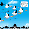 Cartoon: Migration policy (small) by toons tagged geese,donald,trump,migrationary,birds,white,house,fake,news,flying,in,formation
