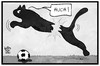 Cartoon: Puma-Trikots (small) by Kostas Koufogiorgos tagged karikatur,koufogiorgos,illustration,cartoon,puma,sportausrüster,trikot,trikotgate,reissen,qualität,marke,markenzeichen,logo,fussball,em