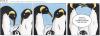 Cartoon: POLE Strip No.21 (small) by Penguin_guy tagged penguins,pinguine,pets,tiere,homosexuals,gays,familie,family,gender,