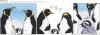 Cartoon: POLE Strip No.27 (small) by Penguin_guy tagged penguins pinguine pets tiere animals familie family cell phone handy
