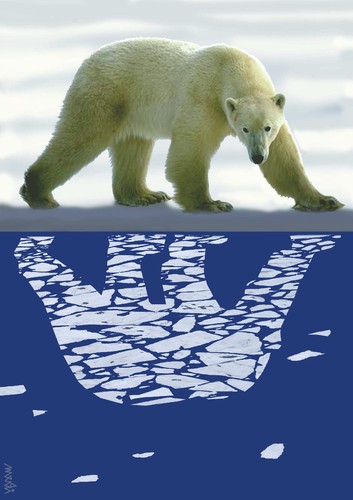 Cartoon: reflection in polar waters (medium) by Medi Belortaja tagged bear,waters,polar,in,reflection