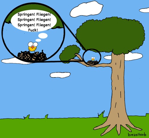 Cartoon: Erstflug (medium) by brezeltaub tagged erstflug,erster,flug,flugangst,sprung,fallschirmsprung,glaube,an,die,eigenen,fähigkeiten,brezeltaub,küken,bruchpilot