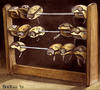 Cartoon: Abacus (small) by matteo bertelli tagged afghanistan,war,peacekeeping,mission,bertelli
