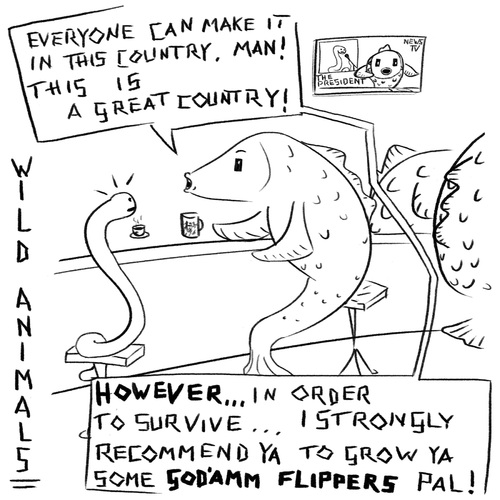 Cartoon: flippers (medium) by Bonville tagged wild,animals,flippers