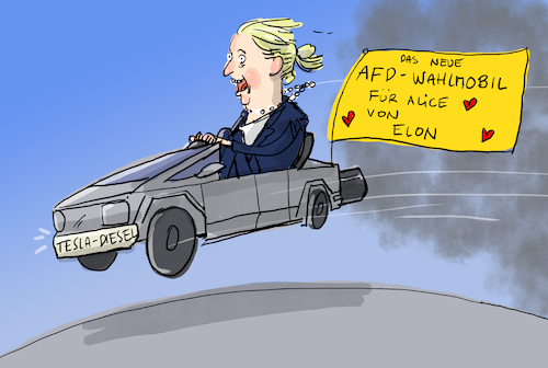 Weidel und Musk