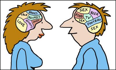 Cartoon: Male and female brains (medium) by Ellis Nadler tagged brain,man,woman,male,female,head,section,shoes,football,beer,love,marriage