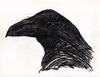 Cartoon: Ravenhead 2 (small) by Maninblack tagged raven,bird,black
