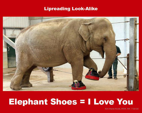 Cartoon: Elephant Shoes - I Love You (medium) by Hearing Care Humor tagged lipreading,speechreading,hearing,deaf,elephant,shoes,love