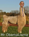Cartoon: Mr ObamaLlama (small) by eldiablo tagged president,obama