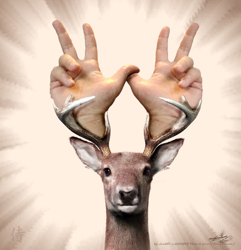Cartoon: Who put deer antlers...? (medium) by LuciD tagged lucido5,surrelism,times,art,nature,creation,god,zodiac,love,peace,humor,world,fasion,sport,music,real,animals,happy,holy,drawings,cartoon,pictures,photo,cool,mony,football,life,live,sky,flower,light,water,high,tags,lol,friend,children,xxx,tv,ue,3d