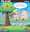 Cartoon: Still at large 102 (small) by bindslev tagged garden,of,eden,creation,myth,myths,story,stories,adam,eve,bible,torah,genesis,the,fall,temptation,temptations,date,dates,breakup,breakups,break,up,ups