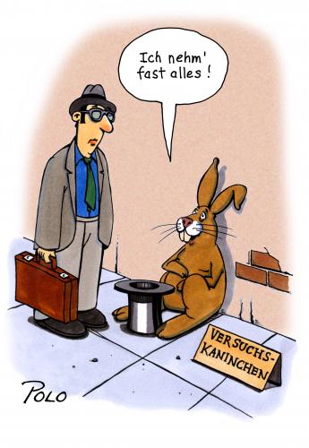 Cartoon: Versuchskaninchen (medium) by POLO tagged betteln,straße,versuchskanichen,pharma,pharmaforschung,versuchskaninchen,experimente,experiment,forschung,labor,versuchstiere,tier,tiere,hase,kaninchen,ausweglosigkeit,pharma,pharmaforschung,betteln,straße,bettler,verzweiflung,tierschutz