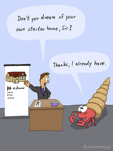 Cartoon: starter home (medium) by Frank Zimmermann tagged starter,home,sell,crab,flipchart,desk,salesman,hermit