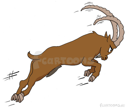 Cartoon: Ziegenbock - billy goat (medium) by Frank Zimmermann tagged ziegenbock,billy,goat,attack,ram,stupid,rigid,animal,fcartoons,jump,sprung,attacke,hörner