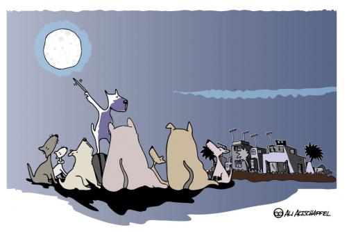 Cartoon: MOON OVER LOS ESCULLOS (medium) by ali tagged hunde,mond,anheulen,nachts,dogs,moon