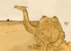 Cartoon: Camelo (small) by alexdantas tagged camelo