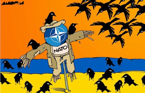 Cartoon: Scarecrow (medium) by Amorim tagged nato,ukraine,russia,nato,ukraine,russia