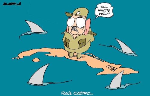 Siege of Cuba