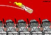 Cartoon: Molotov cocktail (small) by Amorim tagged trump,losangelesriots,immigrationpolicies