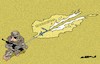 Cartoon: Ripping (small) by Amorim tagged usa,afghanistan,talibans