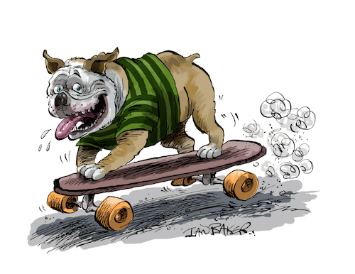 Cartoon: Dog on a skateboard (medium) by Ian Baker tagged dog,pug,skateboard,ride,funny,animal,pet,travel,race,ian,baker,cartoon,caricature,parody,satire,gag,wheels,cute