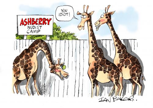 Cartoon: Magazine gag cartoon (medium) by Ian Baker tagged animals,giraffe,nude