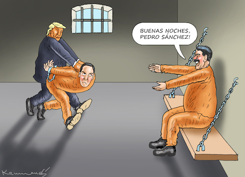 Cartoon: DIKTATOR WÜTET RUM (medium) by marian kamensky tagged pedro,sanchez,trump,pedro,sanchez,trump
