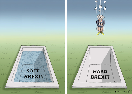 HARTER BREXIT