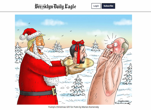 Mein Cartoon in The Brooklyn Dai