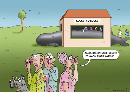 Cartoon: NEUE WAHLORDNUNG (medium) by marian kamensky tagged neue,wahlordnung,spd,neue,wahlordnung,spd