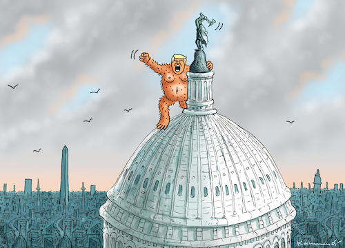 ORANGE KING KONG