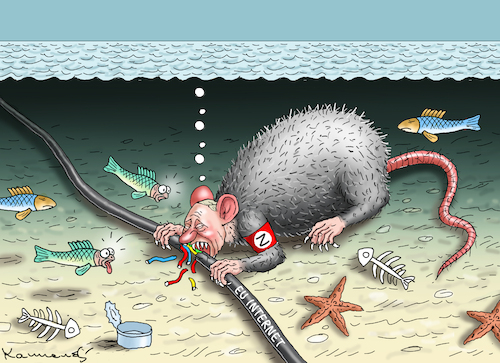 Cartoon: RUSSENRATTENSABOTAGEN (medium) by marian kamensky tagged putin,ostseekabel,internet,sabotage,putin,ostseekabel,internet,sabotage