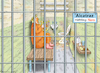 Cartoon: HÄFTLING NERO (small) by marian kamensky tagged musk,trump,zuckerberg,bezos,felon,and,elon,in,panama,zölle,diktator,selenskyj,putin,ukraine,usa,china,alcatraz,handelskrieg