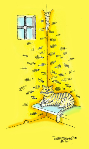 Cartoon: Cat and fish (medium) by Mehmet Selcuk tagged cat