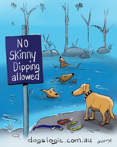 Cartoon: Bare Bones (medium) by George tagged dogs