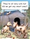 Cartoon: Puppies (small) by George tagged puppies,dogs