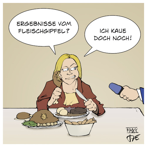 Fleischgipfel