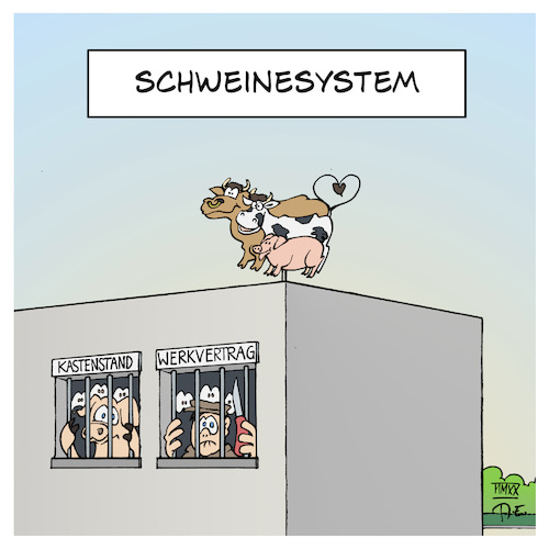 Schweinesystem